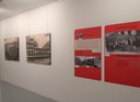 20200925_121134.jpg